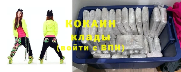 молекула духа Алексин