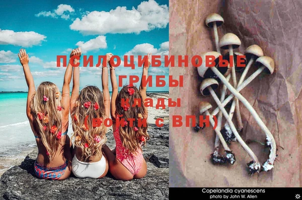 винт Алексеевка