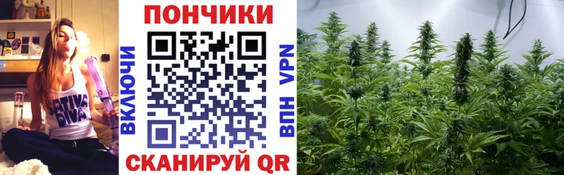 Шишки марихуана OG Kush  наркошоп  Новошахтинск 
